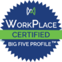 Workplace Big Five Profile